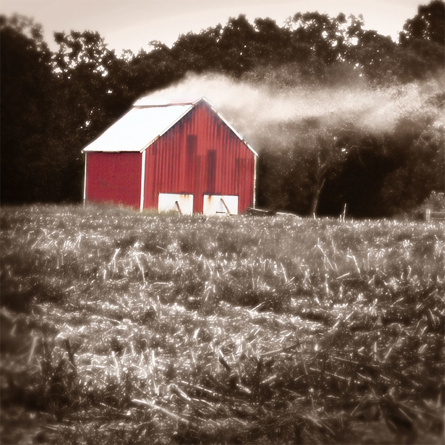 smokybarn 10x10 300